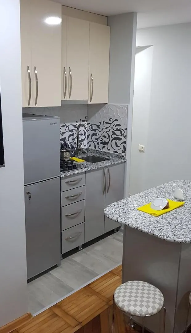Apartment Apartament Shushana Batumi